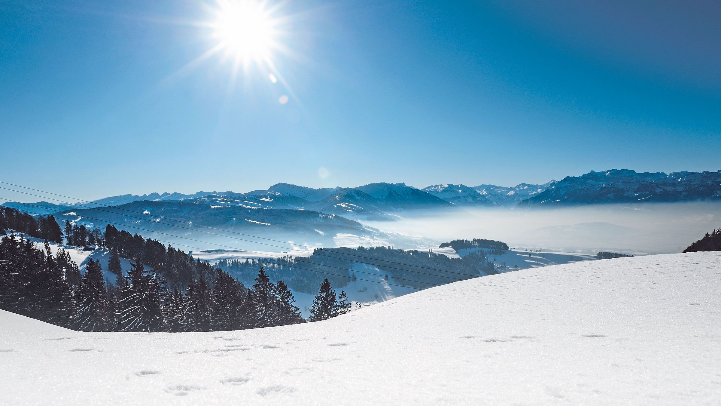 Schneesport