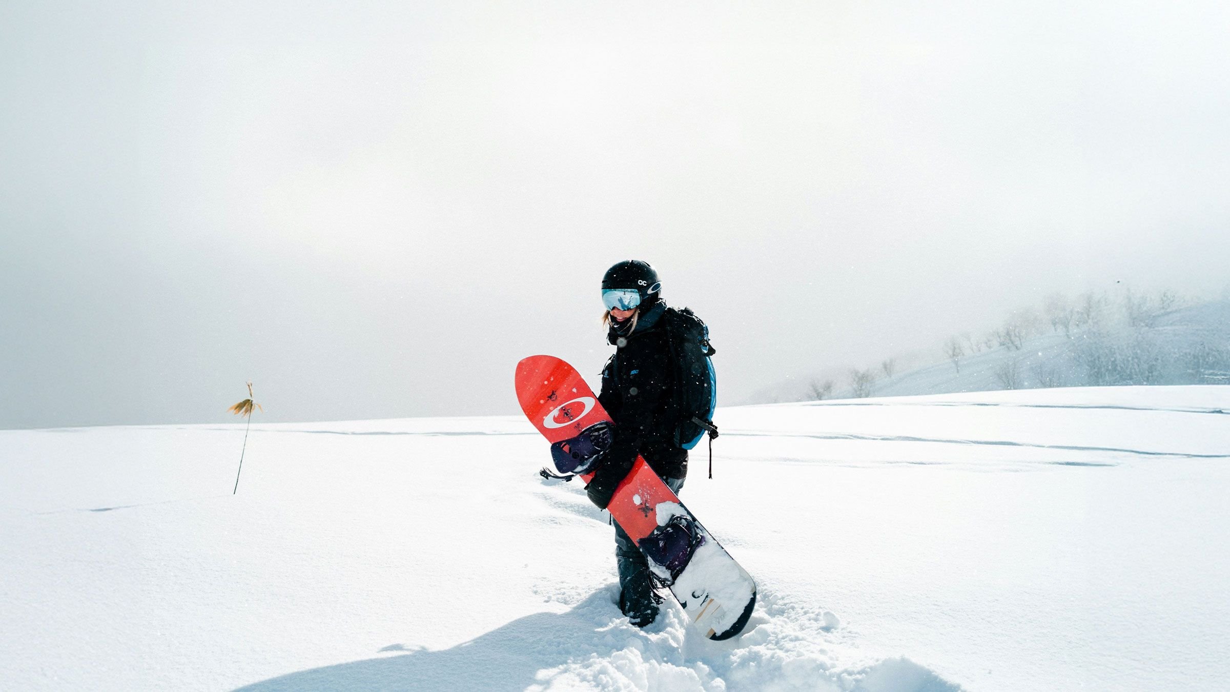 Skifahren und Snowboarden