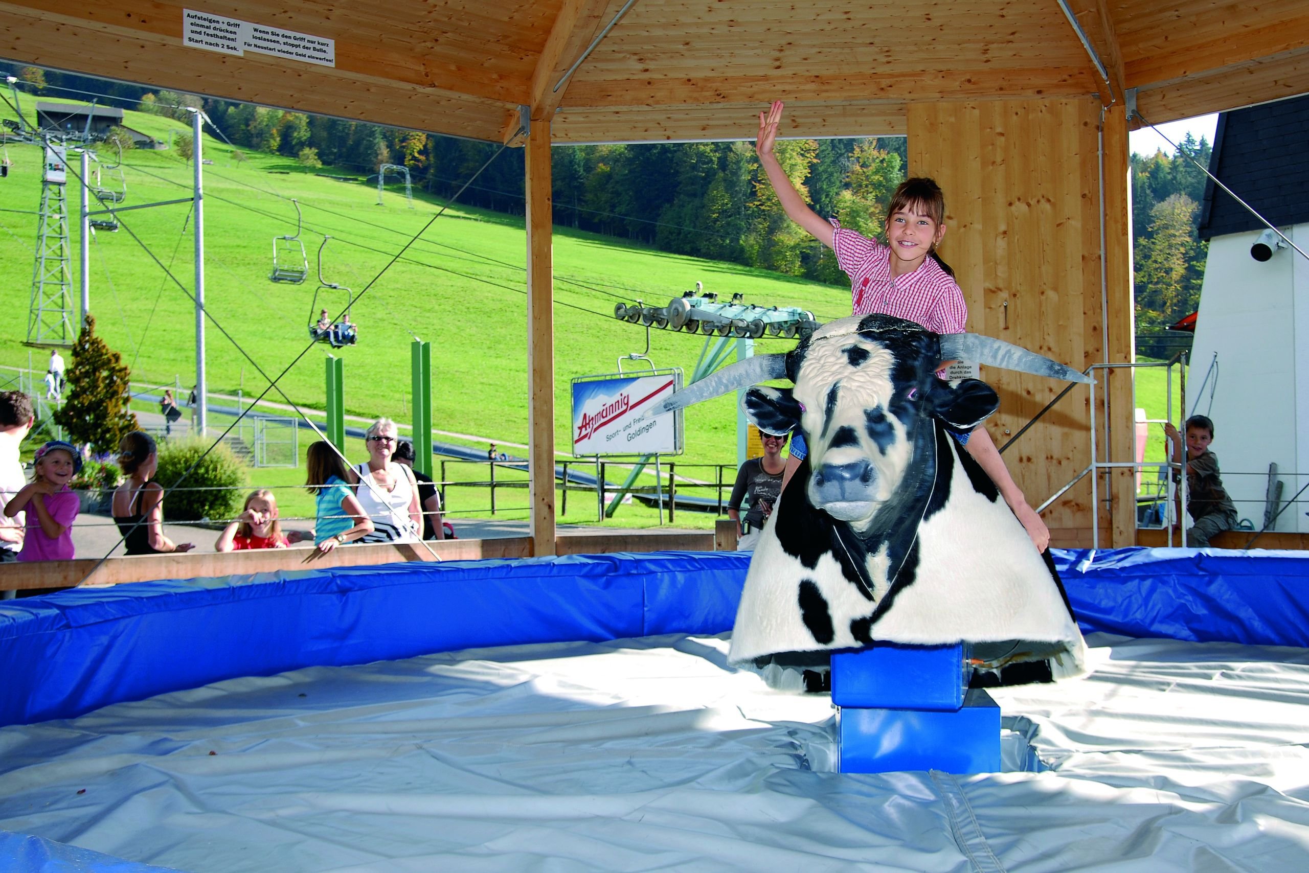 Bull-Riding